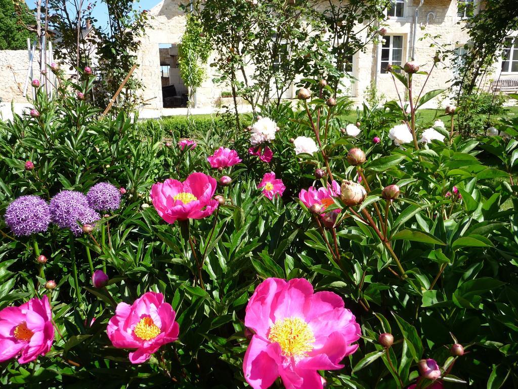 La Maison Du Potager De Mazieres Sainte-Solange Экстерьер фото